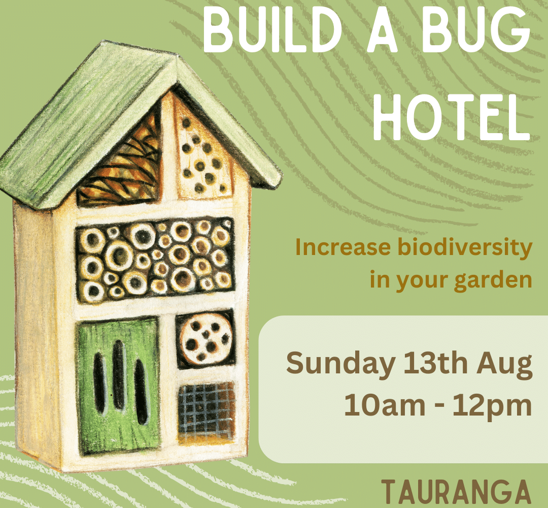 image of bug hotel and details of workshop