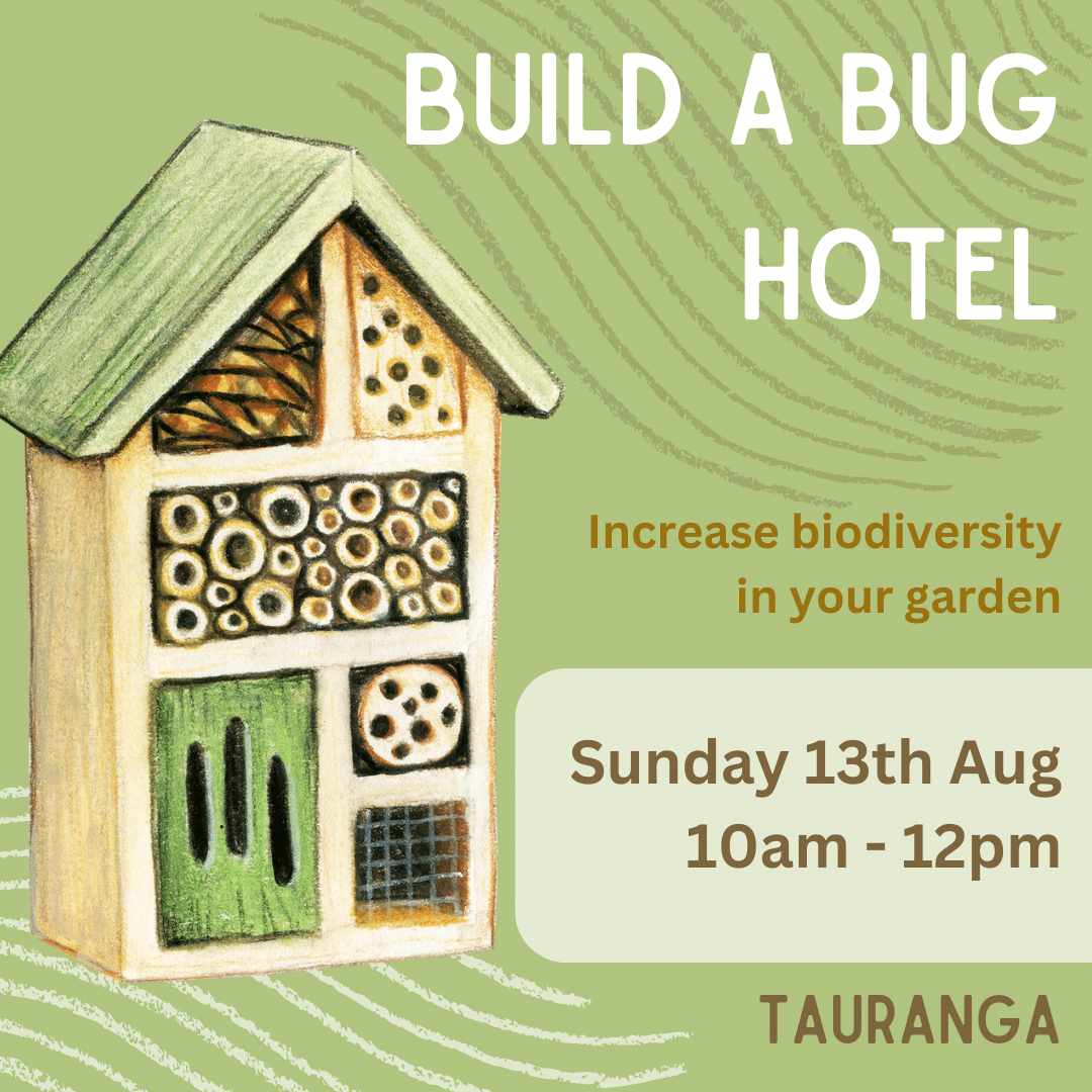image of bug hotel and details of workshop