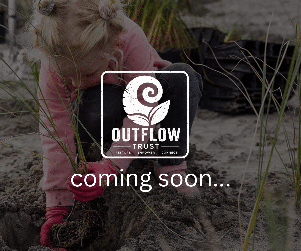 Outflow Coastal Plant