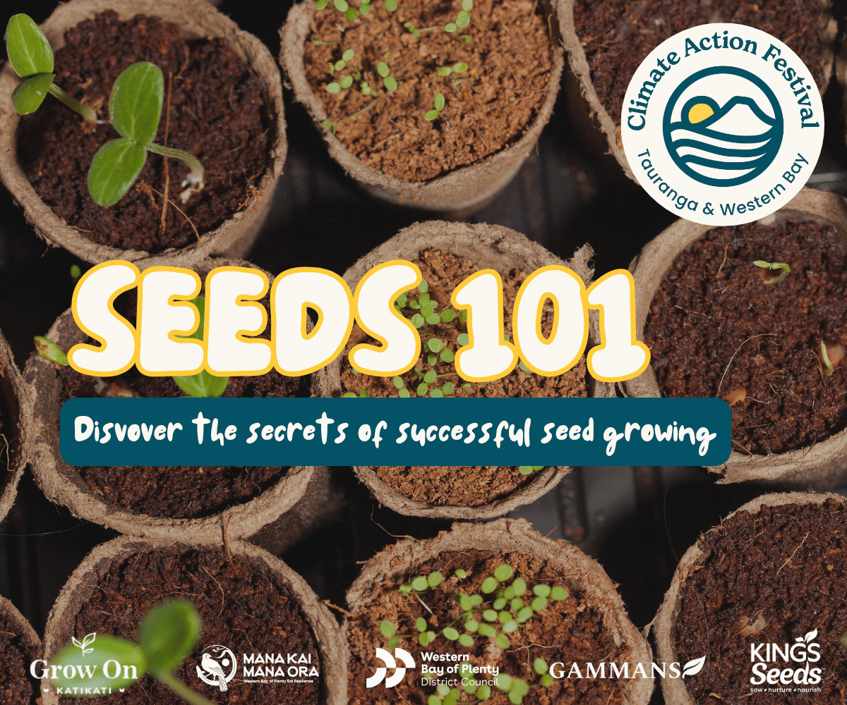 Seeds 101_ Discover the secrets of successful seed growing