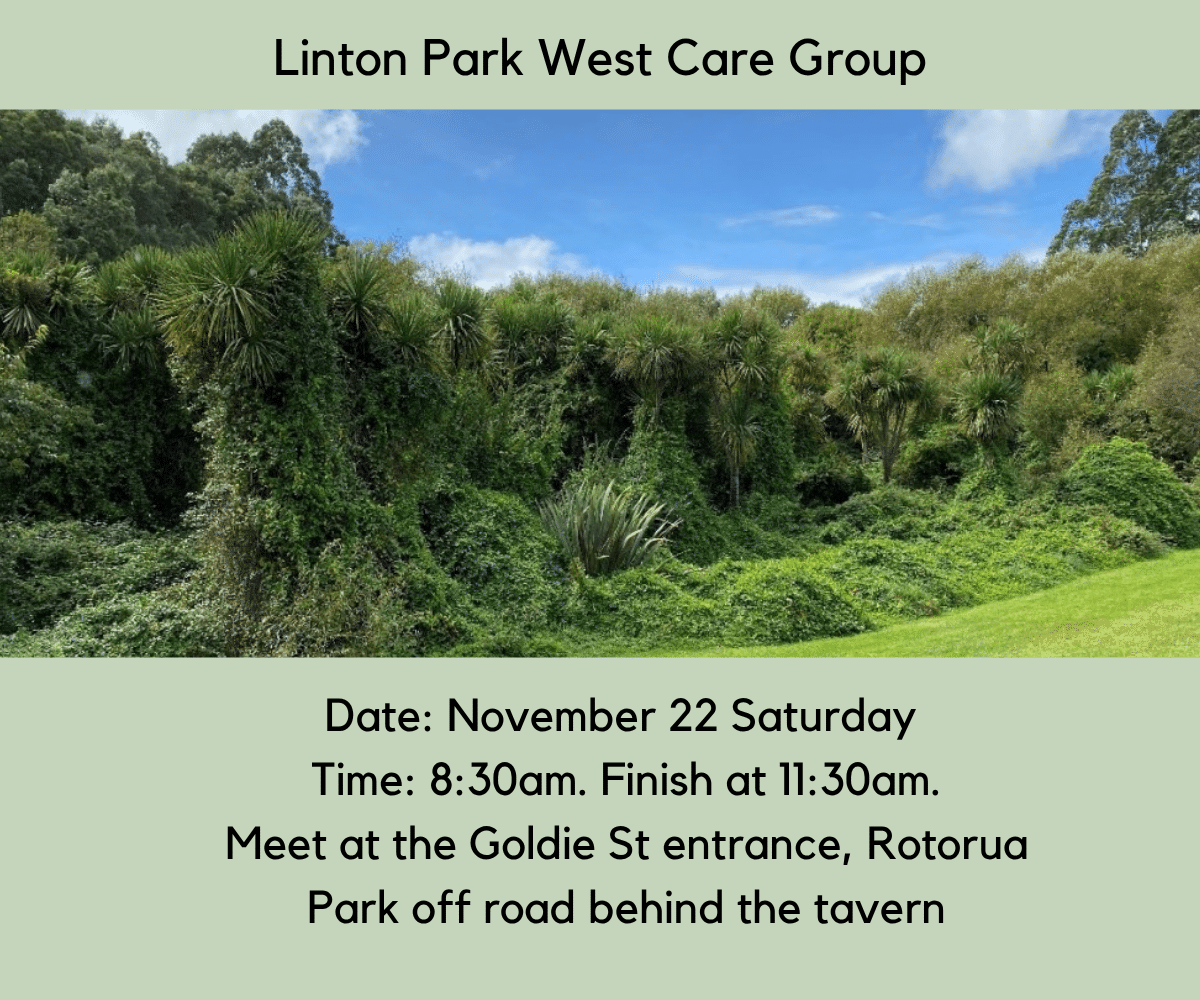 Linton Park West Care Group